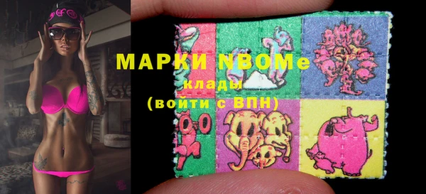 гашик Белокуриха